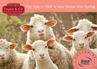 Top tips to find your perfect home this Spring