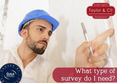 What type of survey do I need when buying a house in Abergavenny? 