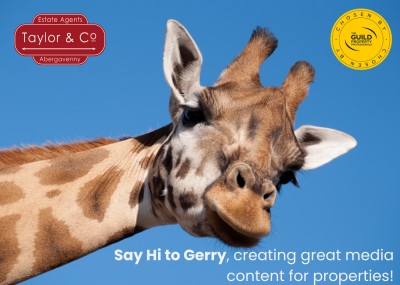 How we create marketing content for your home