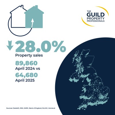 Resilience and renewed activity in the housing market this summer