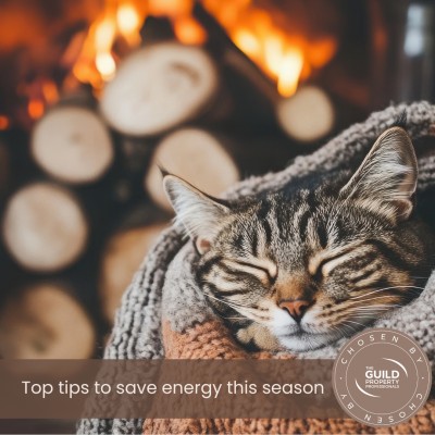 Top tips to save energy this season