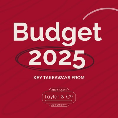 Budget Analysis November 2025