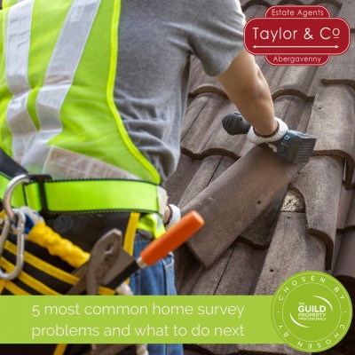 5 most common home survey problems and what to do next