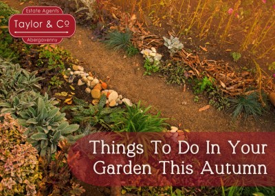 Things To Do In Your Garden This Autumn