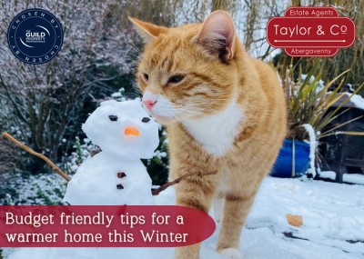 Budget friendly tips for a warmer home this Winter